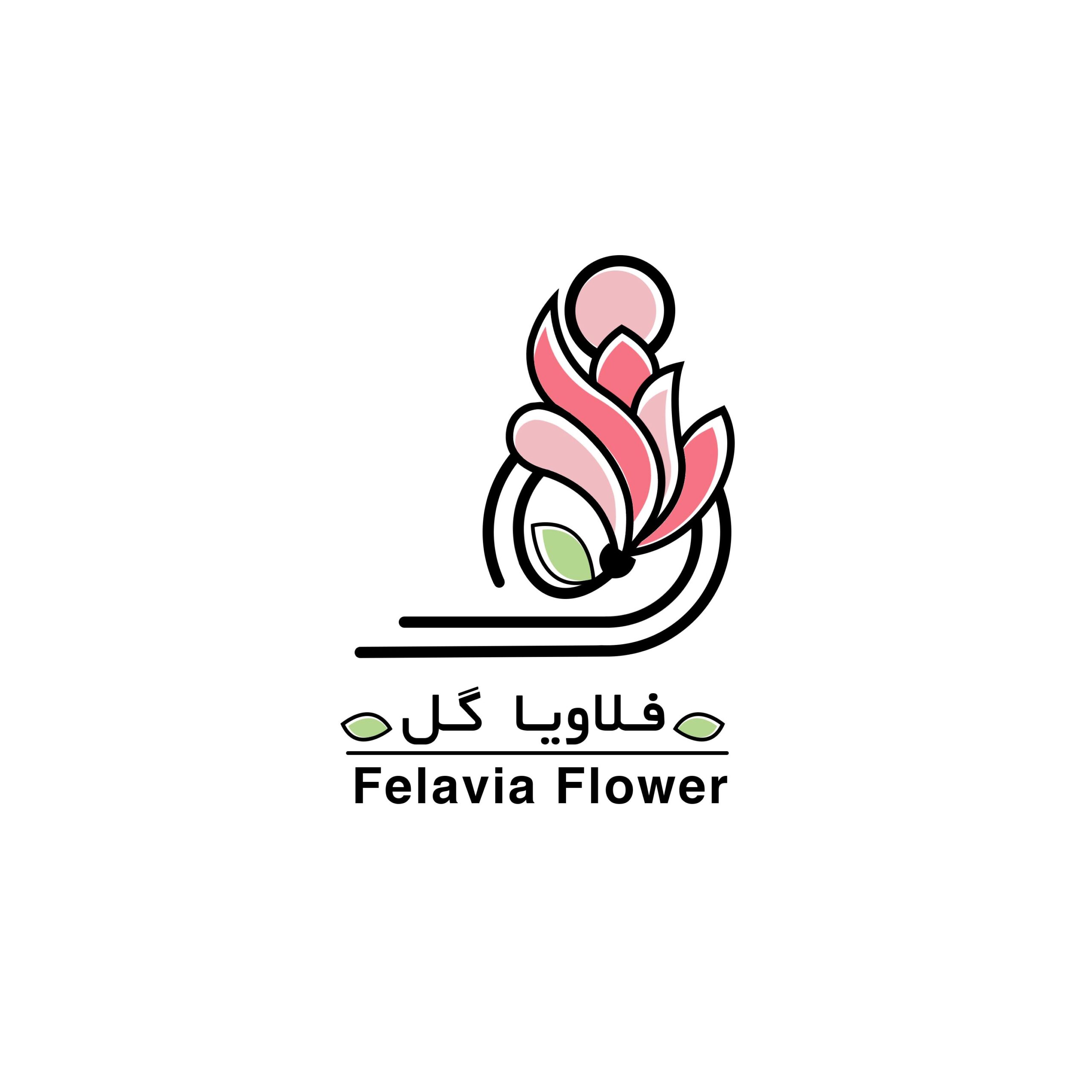 فلاویا2